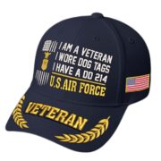 Premium Embroidered US Veterans Hats BPHN170711, Gifts for US Veterans, Gifts on Veterans Day - Image 13