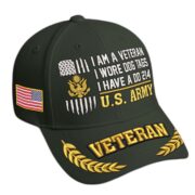 Premium Embroidered US Veterans Hats BPHN170711, Gifts for US Veterans, Gifts on Veterans Day - Image 2