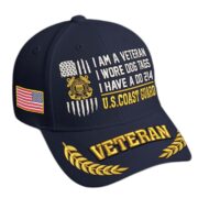 Premium Embroidered US Veterans Hats BPHN170711, Gifts for US Veterans, Gifts on Veterans Day - Image 14
