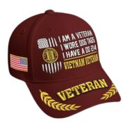 Premium Embroidered US Veterans Hats BPHN170711, Gifts for US Veterans, Gifts on Veterans Day - Image 20